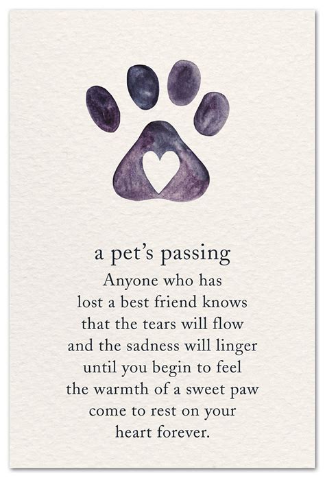 veterinary sympathy cards